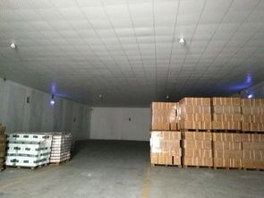 廣州奶粉進口報關及糧油中轉倉儲全流程解析