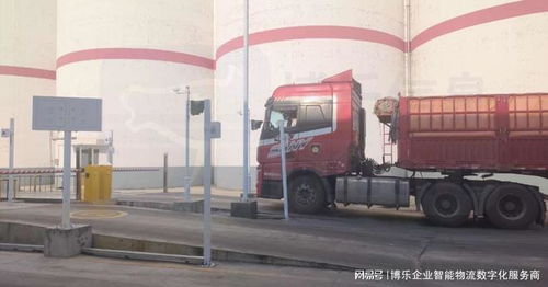 食品糧油倉儲出入庫管理系統解決方案 聚焦糧油中轉倉儲的高效與安全